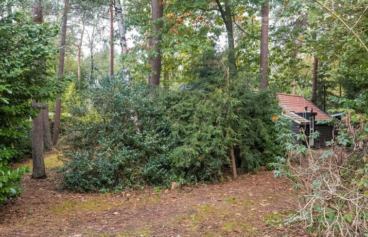 Natuurhuisje in Lochem