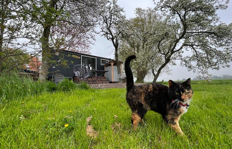 Natuurhuisje in Grootschermer