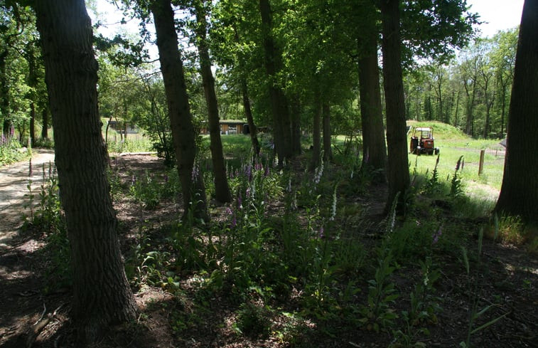 Natuurhuisje in Hellendoorn