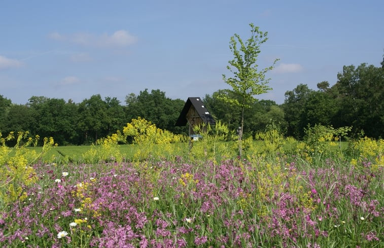 Natuurhuisje in Grashoek