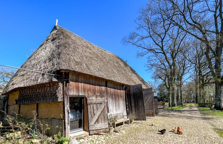 Natuurhuisje in Oosterhesselen