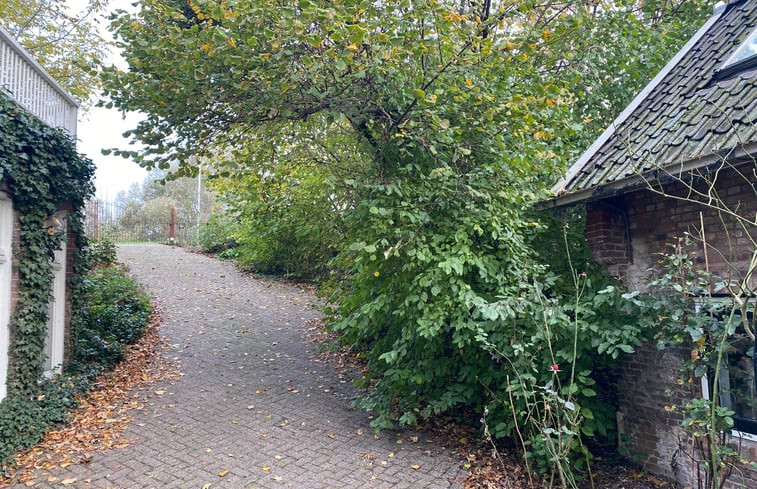 Natuurhuisje in Hurwenen