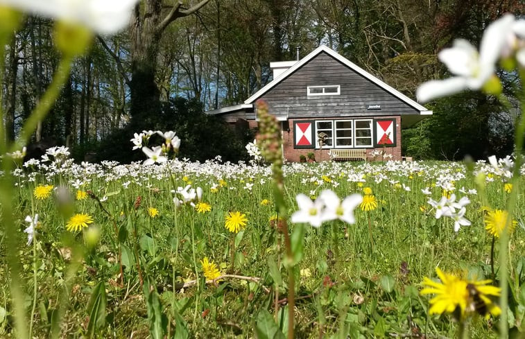 Natuurhuisje in Midlaren