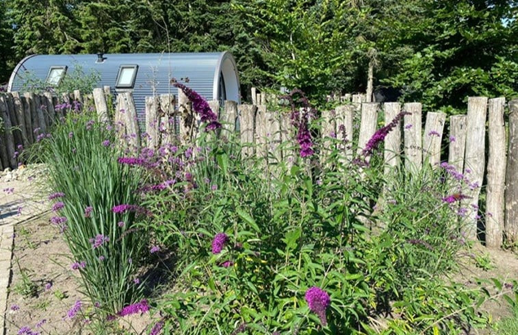 Natuurhuisje in Dalerveen