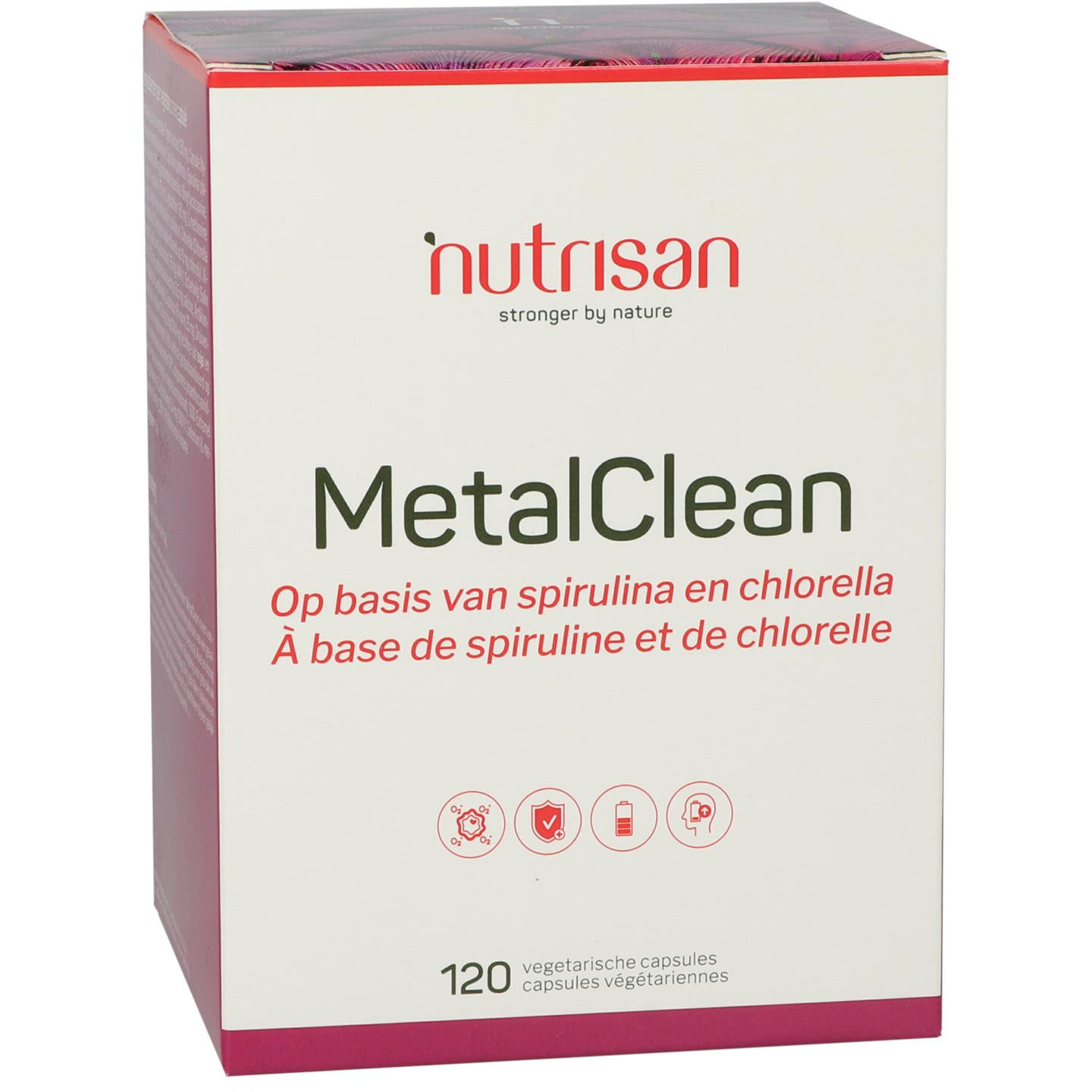 MetalClean