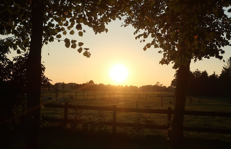 Natuurhuisje in Zwartemeer