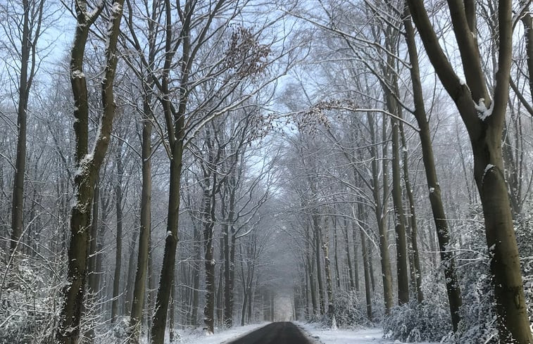 Natuurhuisje in Heijenrath