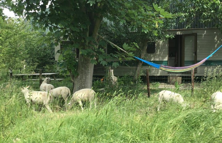 Natuurhuisje in Zierikzee