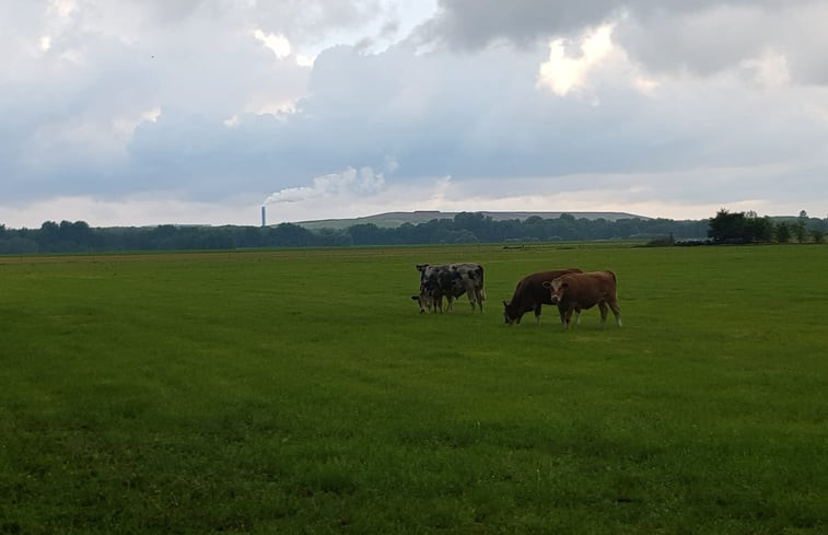 Natuurhuisje in Tiendeveen