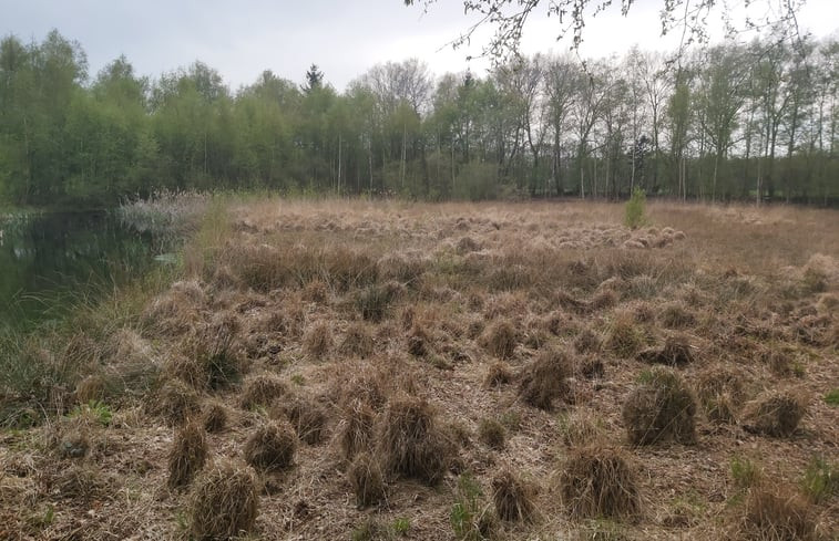 Natuurhuisje in Wijster