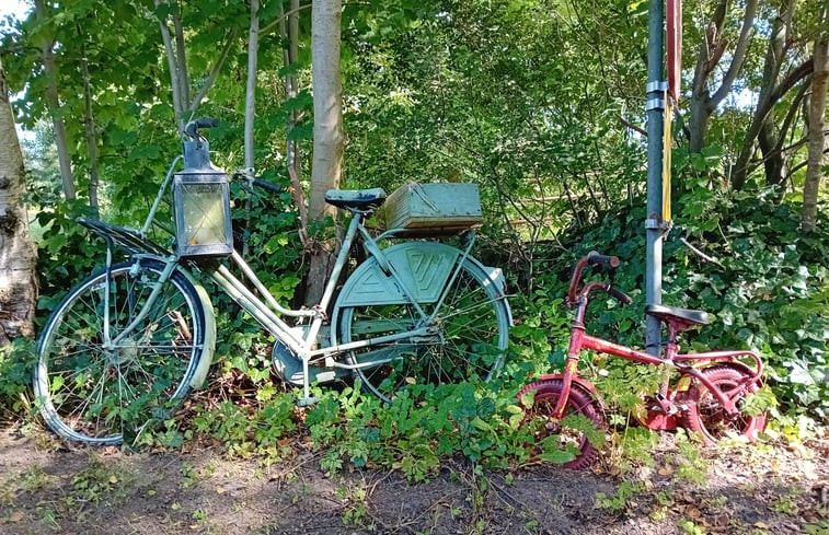 Natuurhuisje in Drogeham