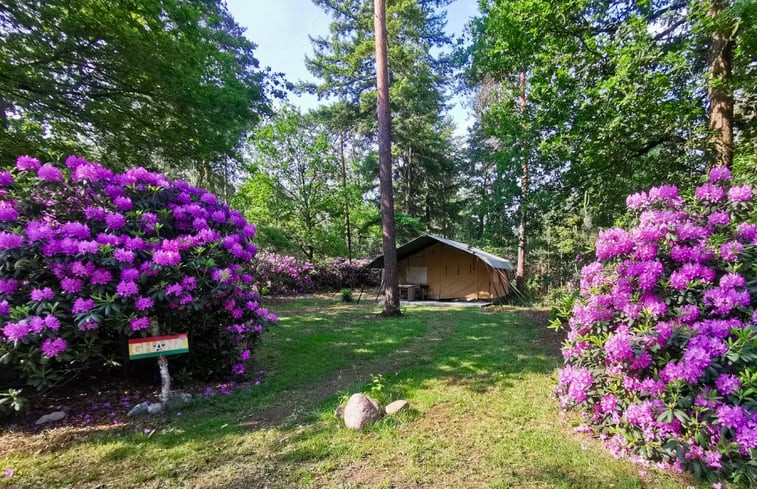 Natuurhuisje in Holten