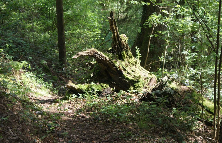 Natuurhuisje in Durbuy