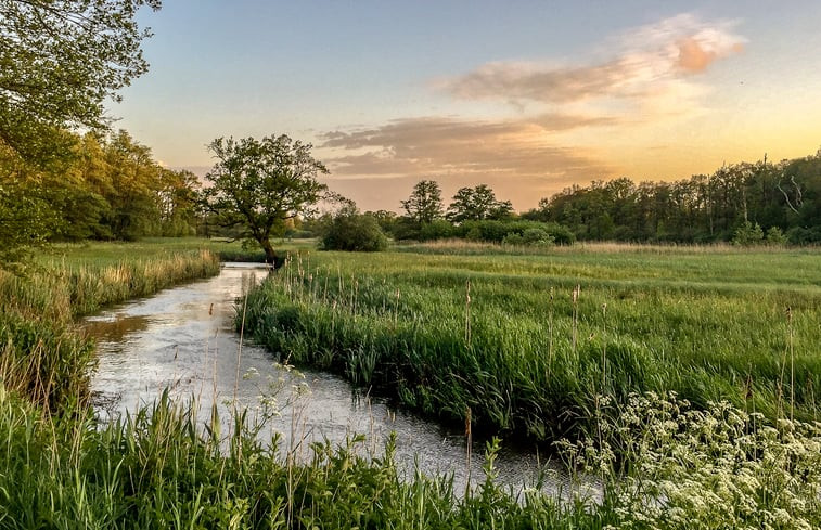 Natuurhuisje in Schoonloo