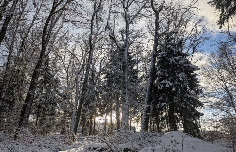 Natuurhuisje in Bastogne