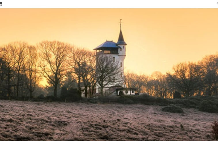 Natuurhuisje in Haarle