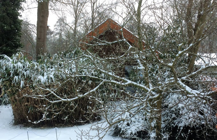 Natuurhuisje in Ubbergen