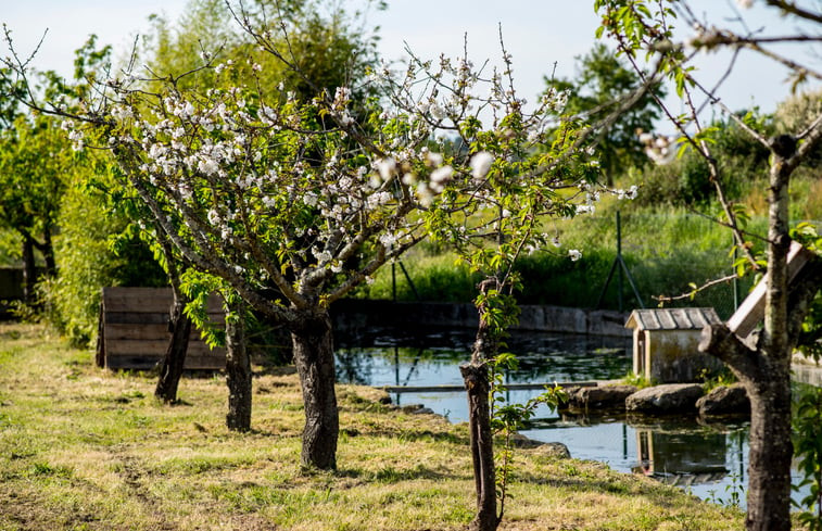 Natuurhuisje in Vilar Seco, Nelas