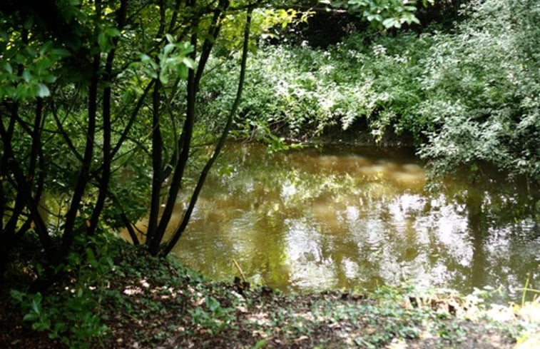 Natuurhuisje in Beuningen