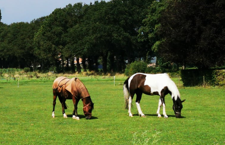 Natuurhuisje in Harfsen