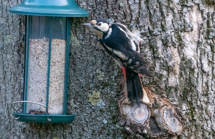 Natuurhuisje in Gulpen