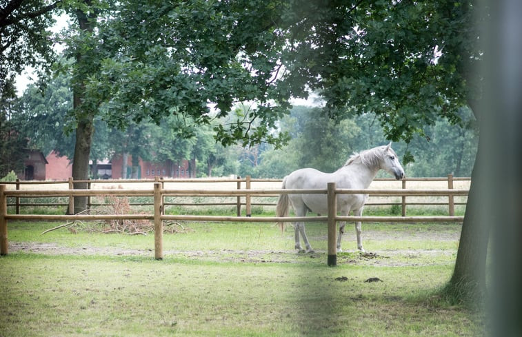 Natuurhuisje in Wehrbleck