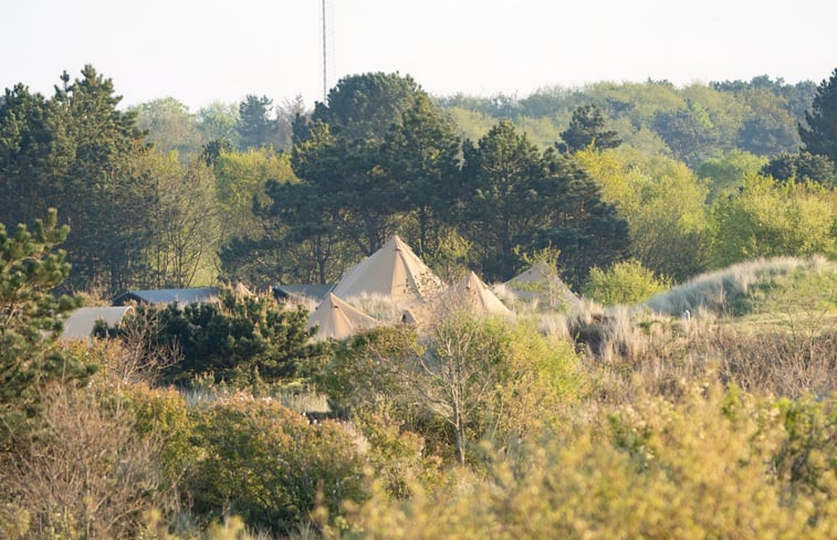 Natuurhuisje in Nes