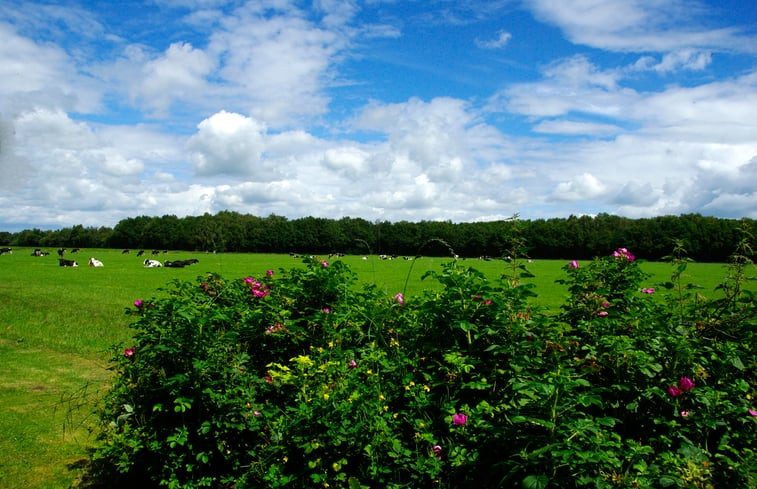 Natuurhuisje in Balkbrug