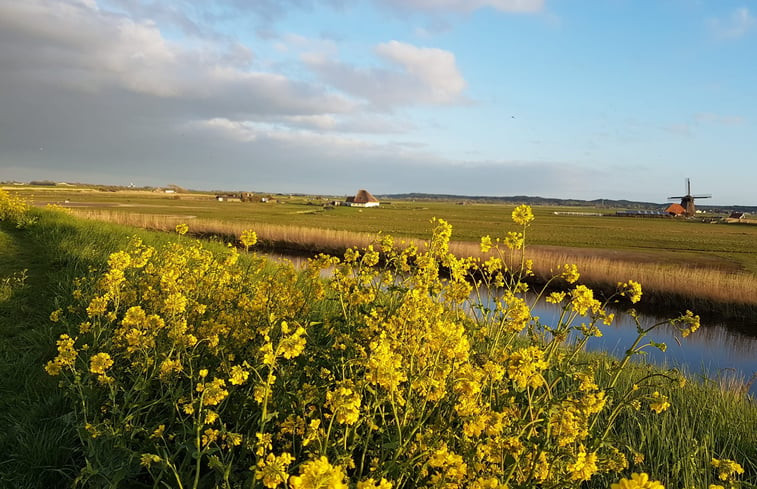 Natuurhuisje in Schoorl