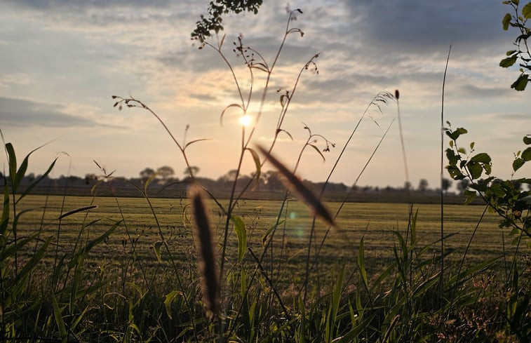 Natuurhuisje in Westergeest