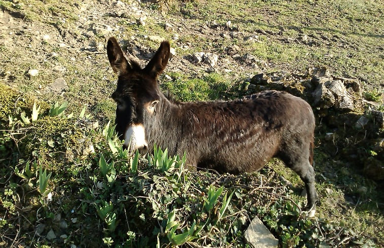 Natuurhuisje in Pontremoli