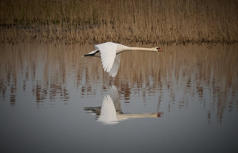 Natuurhuisje in Lunow Stolzenhagen