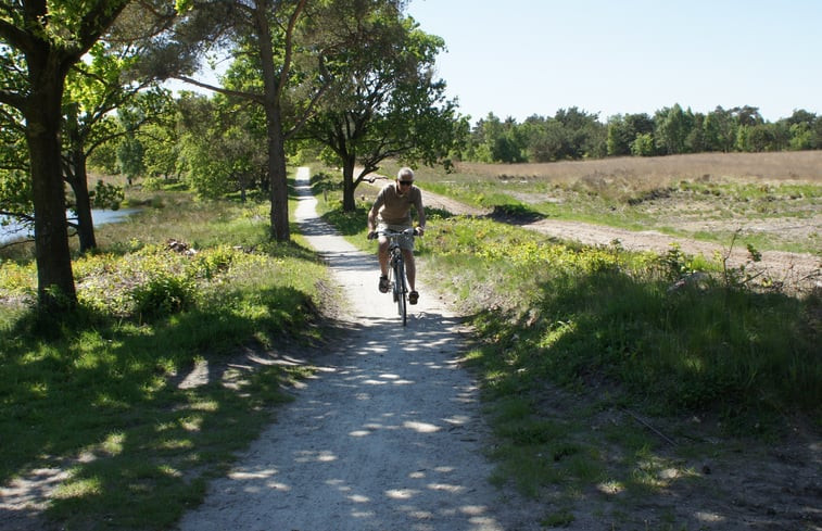 Natuurhuisje in Ruinen