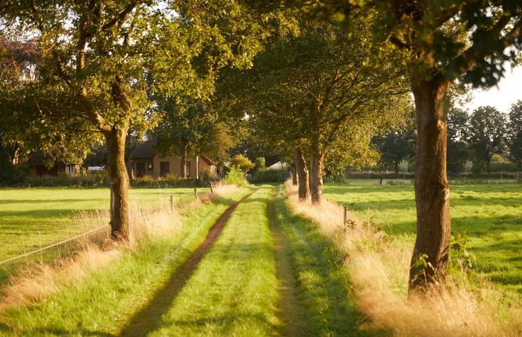 Natuurhuisje in Siegerwoude