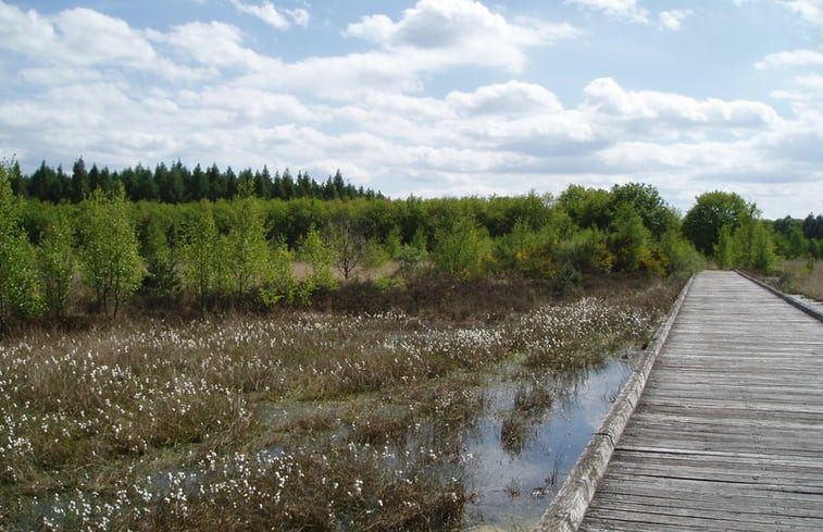 Natuurhuisje in Schoonloo