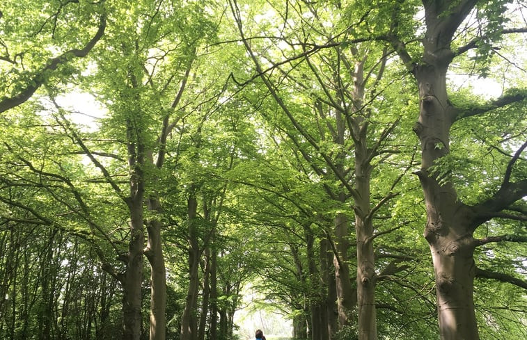 Natuurhuisje in Arkel