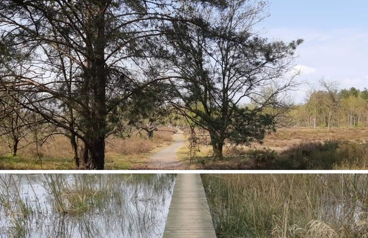 Natuurhuisje in Nijlen