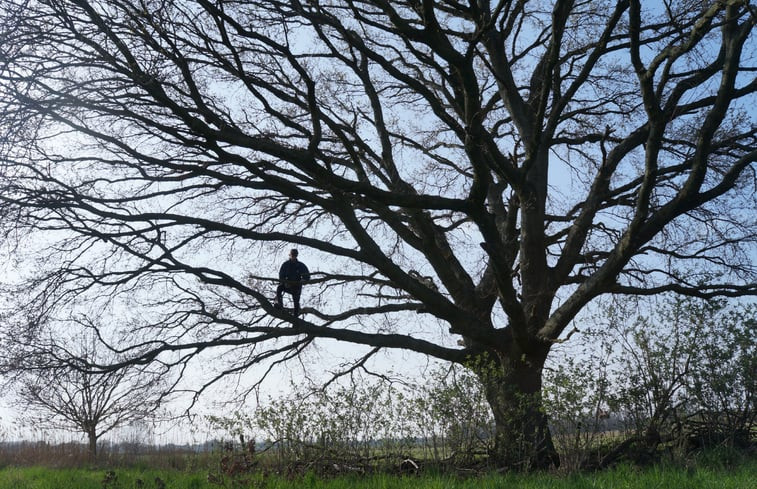 Natuurhuisje in Koningsbosch