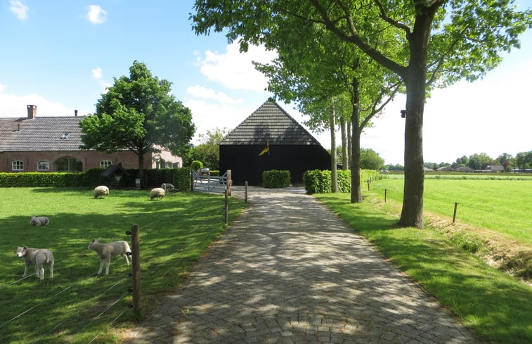 Natuurhuisje in Oisterwijk