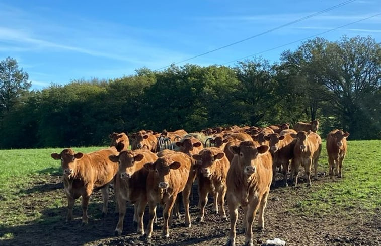 Natuurhuisje in St. Silvain bas-le-roc