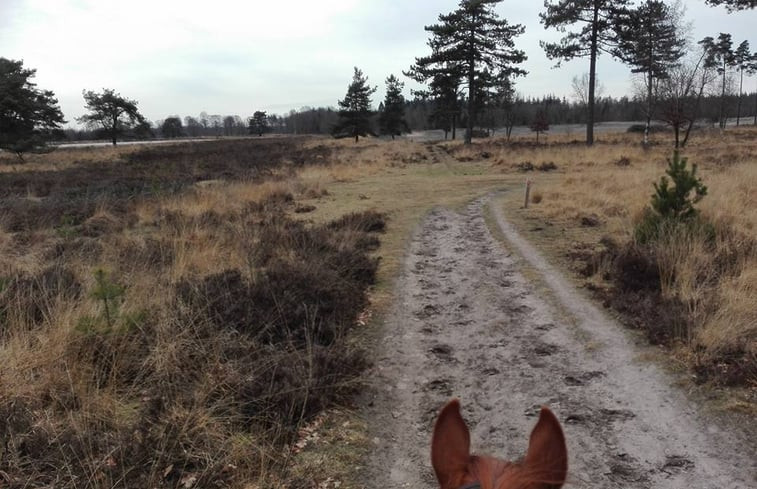 Natuurhuisje in Wapse