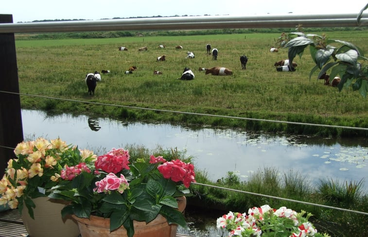 Natuurhuisje in Ommen