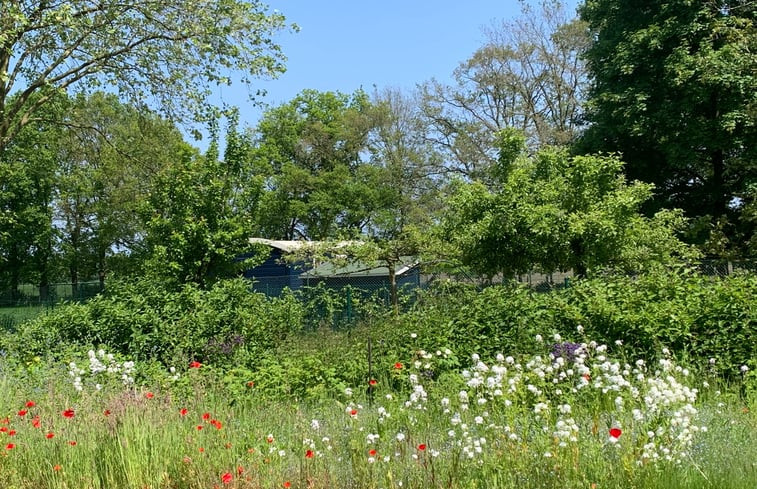 Natuurhuisje in Etten Leur