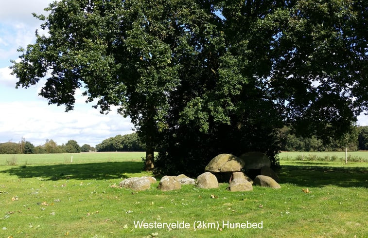 Natuurhuisje in Norg