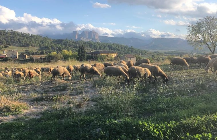 Natuurhuisje in Horta de Sant Joan