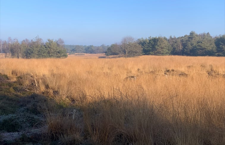 Natuurhuisje in Wapse