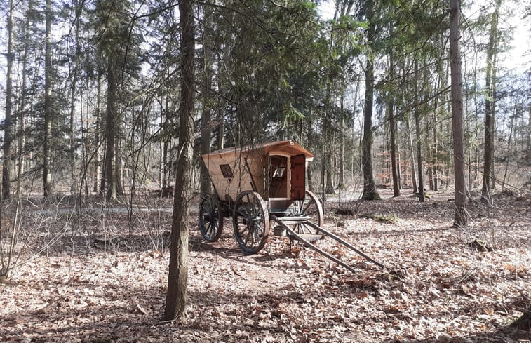 Natuurhuisje in Papenvoort