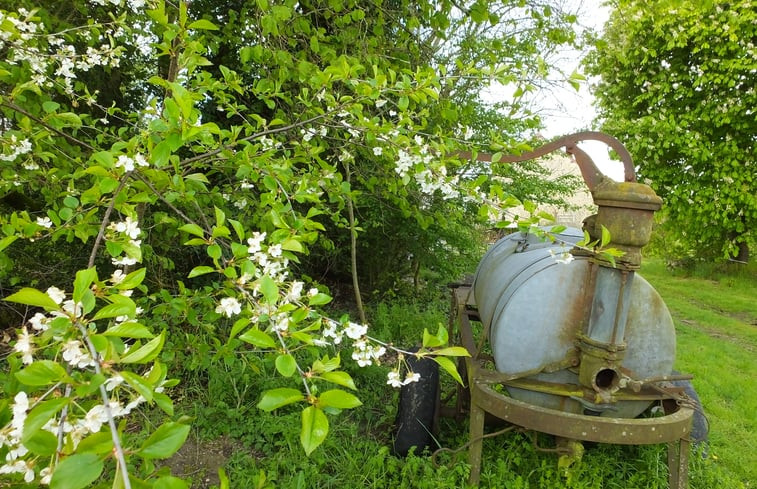 Natuurhuisje in Nouhant