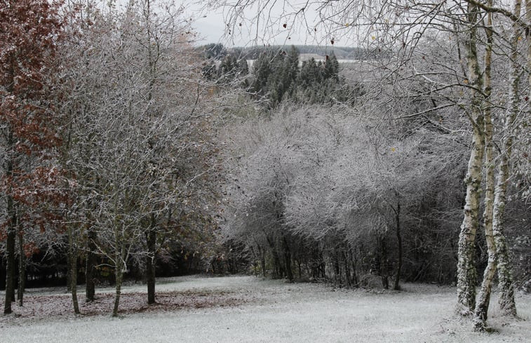 Natuurhuisje in Houffalize