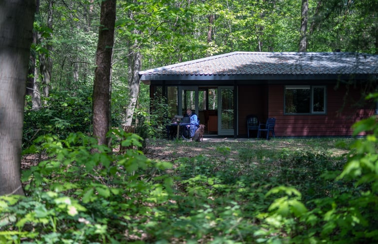 Natuurhuisje in Voorthuizen